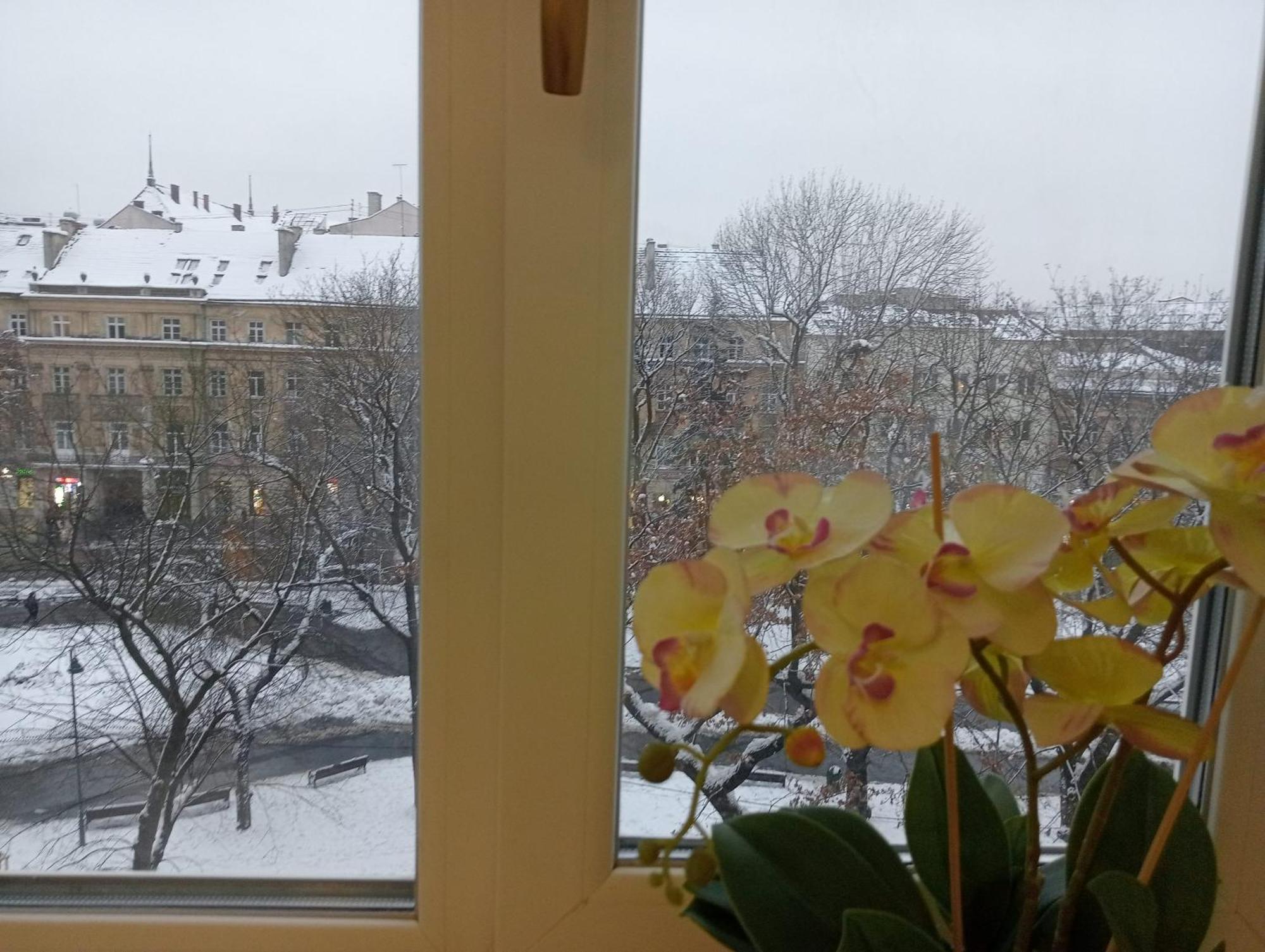 Apartment On Historical Center Of Lviv Exterior foto